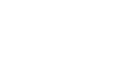 logo BITEX